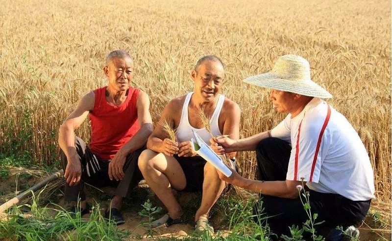 农民：人们的衣食父母